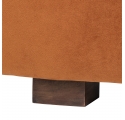 Malala 2-Seater Sofa in Orange Velvet