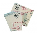 Pirate ~Treasure map~