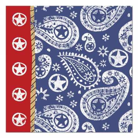 Far West ~Pack of 16 napkins~