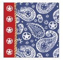 Far West ~Pack of 16 napkins~