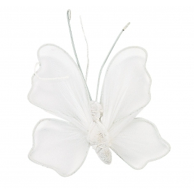 Fairy Tale Activities ~Creation of a Butterfly~