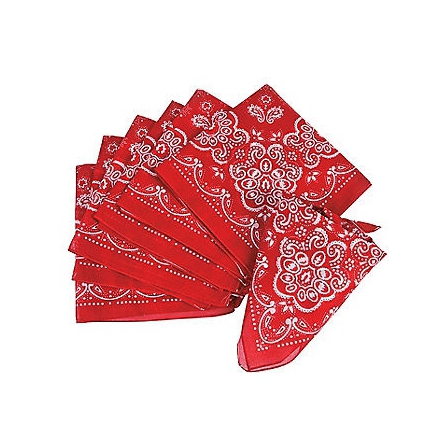Far West ~Bandana de Cow Boy~