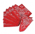 Far West ~Bandana de Cow Boy~