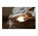 Moonie Musical Nightlight Teddy Bear Capuccinno