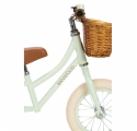 Draisienne First Go BANWOOD - Vert pale