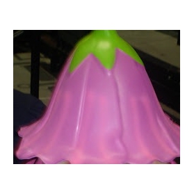 Chapeau de Fée Clochette